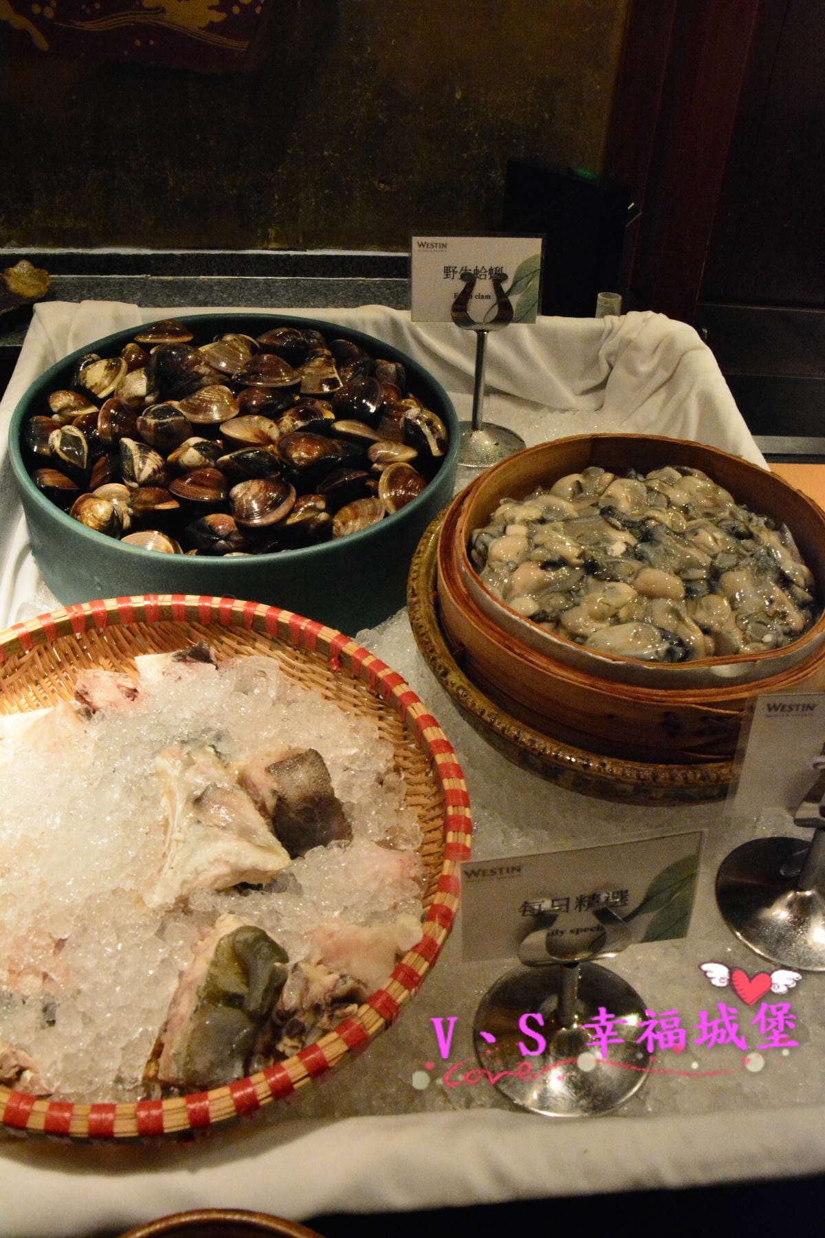 DSC_6049.JPG DSC_6049.JPG