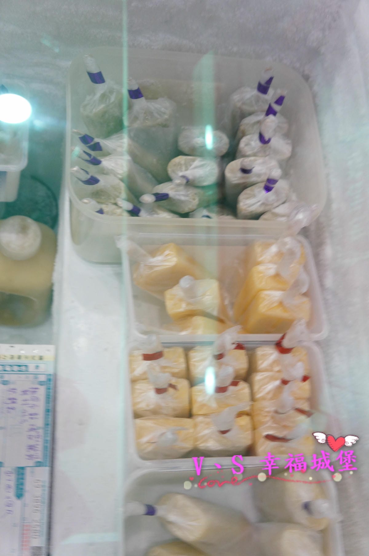 DSC01382.JPG DSC01382.JPG