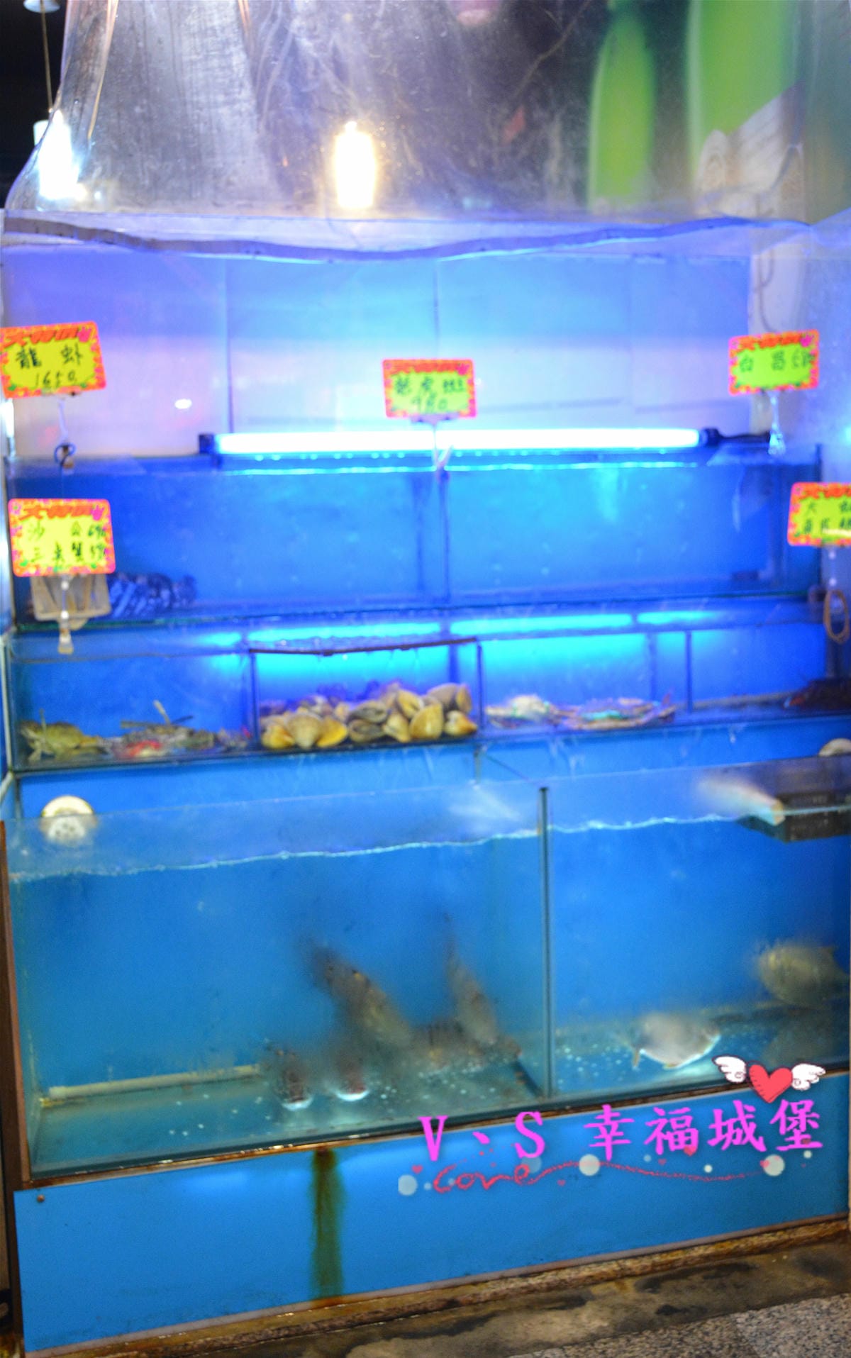 【台北美食】長安東路熱炒 鮮納肚長安店 多種豐富現炒精緻菜餚,好吃又便宜,跟三五好友吃飯喝酒,盡情聊天到凌晨五點都不怕,真是夜貓子的深夜食堂 - 第4張圖 【台北美食】長安東路熱炒 鮮納肚長安店 多種豐富現炒精緻菜餚,好吃又便宜,跟三五好友吃飯喝酒,盡情聊天到凌晨五點都不怕,真是夜貓子的深夜食堂