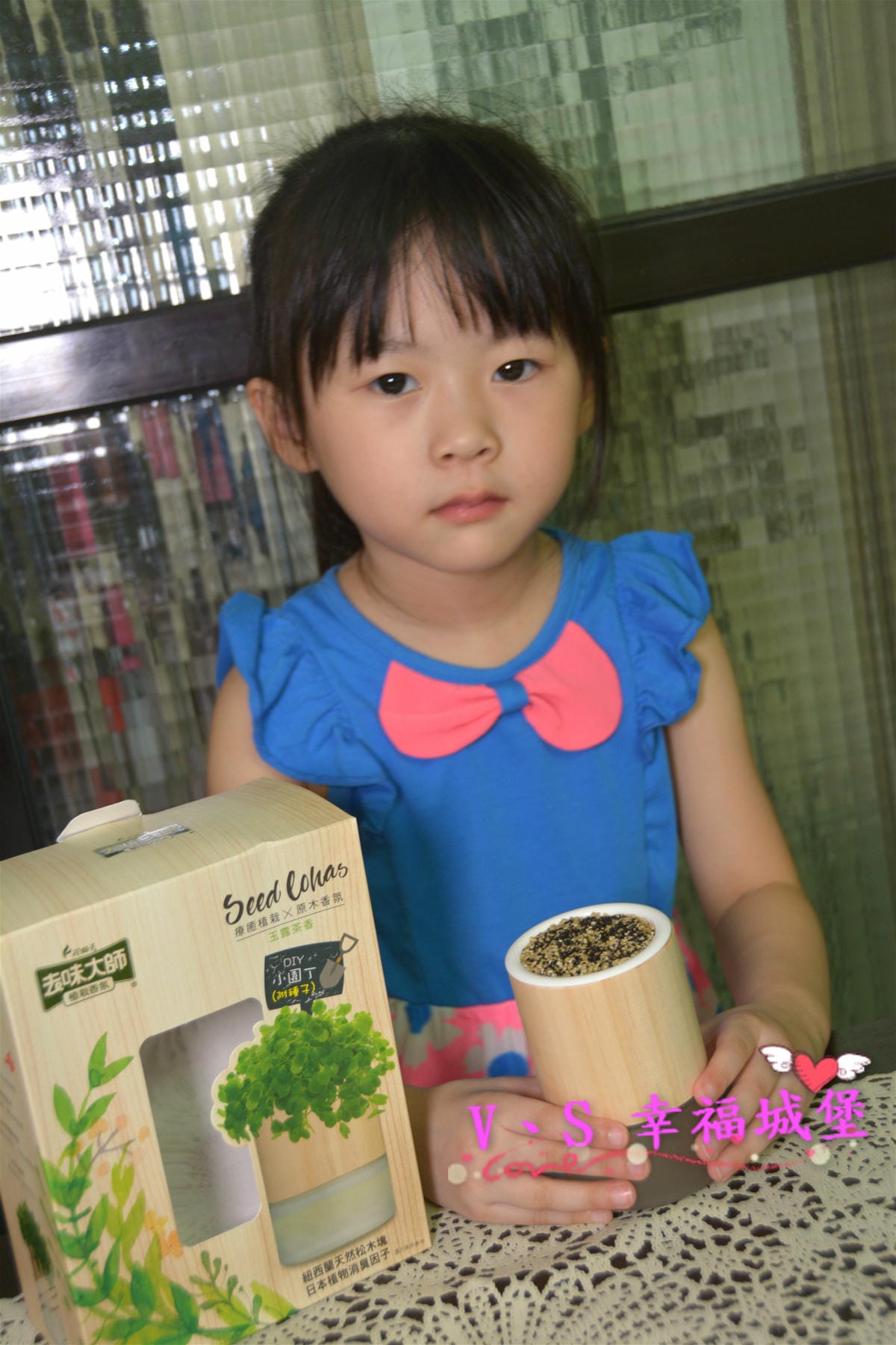 【居家好物】去味大師 植栽香氛 創新結合 植栽消臭香氛 商品,讓居家生活每個角落充滿芬芳香氣、綠意盎然 - 第29張圖 【居家好物】去味大師 植栽香氛 創新結合 植栽消臭香氛 商品,讓居家生活每個角落充滿芬芳香氣、綠意盎然