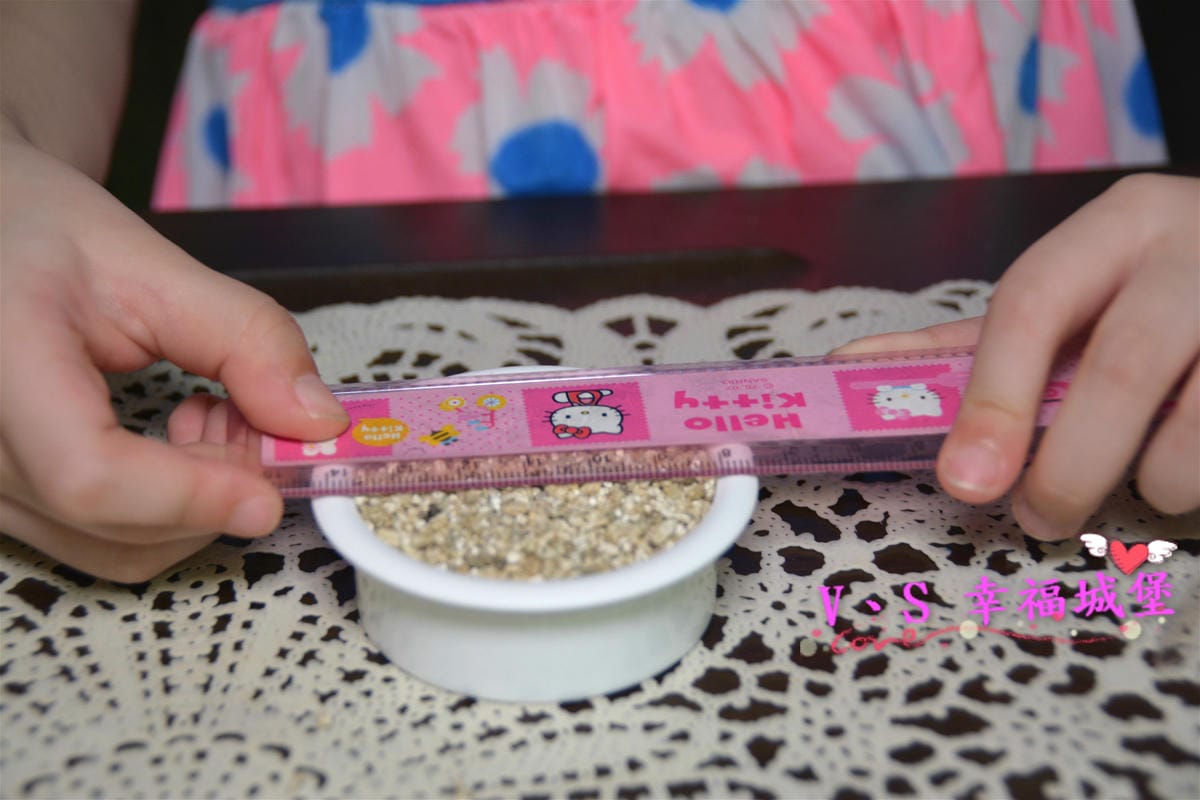 【居家好物】去味大師 植栽香氛 創新結合 植栽消臭香氛 商品,讓居家生活每個角落充滿芬芳香氣、綠意盎然 - 第11張圖 【居家好物】去味大師 植栽香氛 創新結合 植栽消臭香氛 商品,讓居家生活每個角落充滿芬芳香氣、綠意盎然