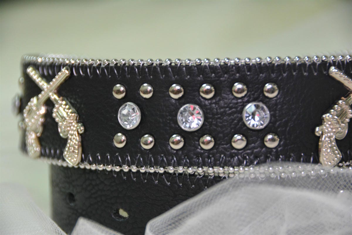 PIG_2970_meitu_25.jpg PIG_2970_meitu_25.jpg