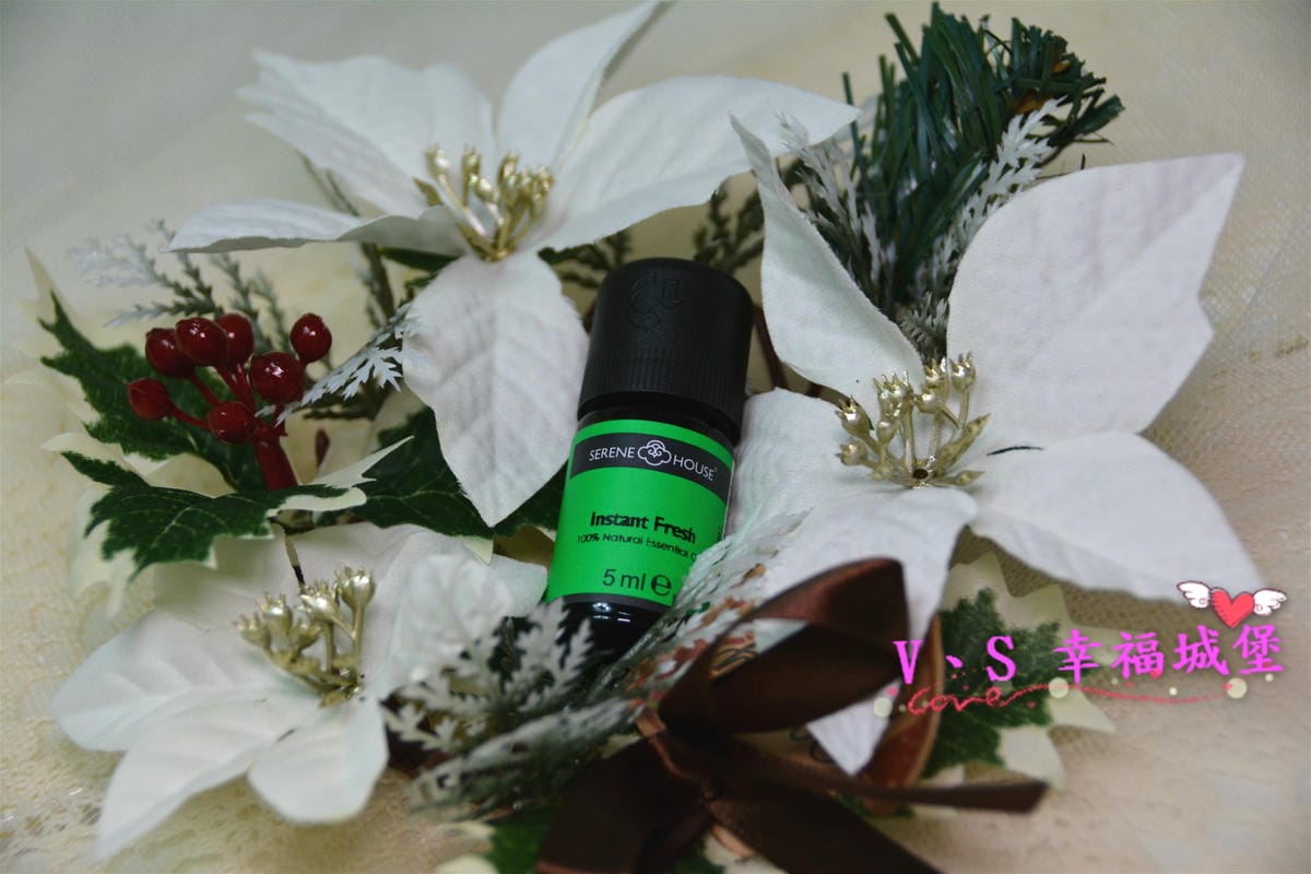 【居家好物】SERENE HOUSE 星塵香氛霧化機 讓家多了一份視覺的溫暖、嗅覺的味道,讓家不在只是家,而是個放鬆自己的空間(文末抽獎)