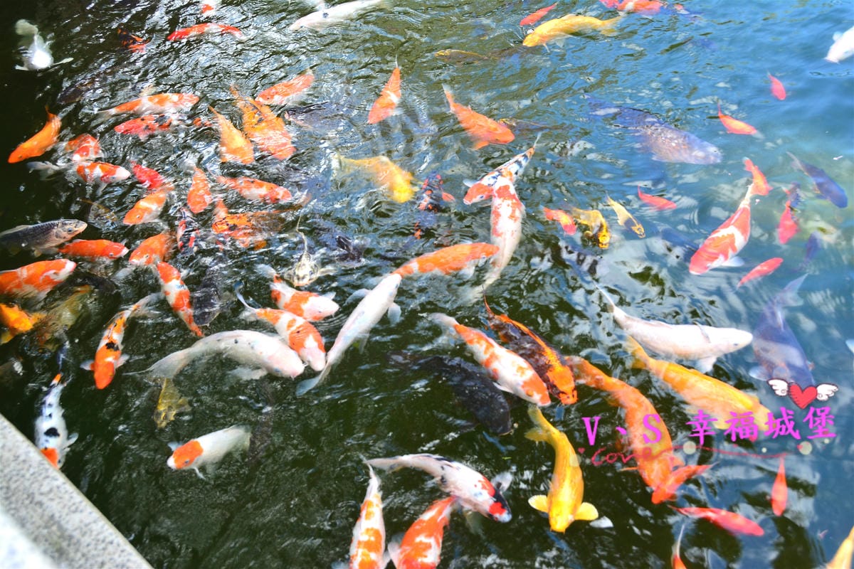 【桃園美食】蔣府宴 藏身於小人國遊樂園裡的美食,讓你在風景悠美的庭園裡,品嚐二蔣喜愛的浙滬料理(江浙上海菜)