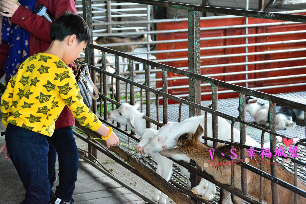 【租車分享】中租租車 服務用心,出發前為你做完善的車況檢查,讓我放心開車出發宜蘭一日遊。。。