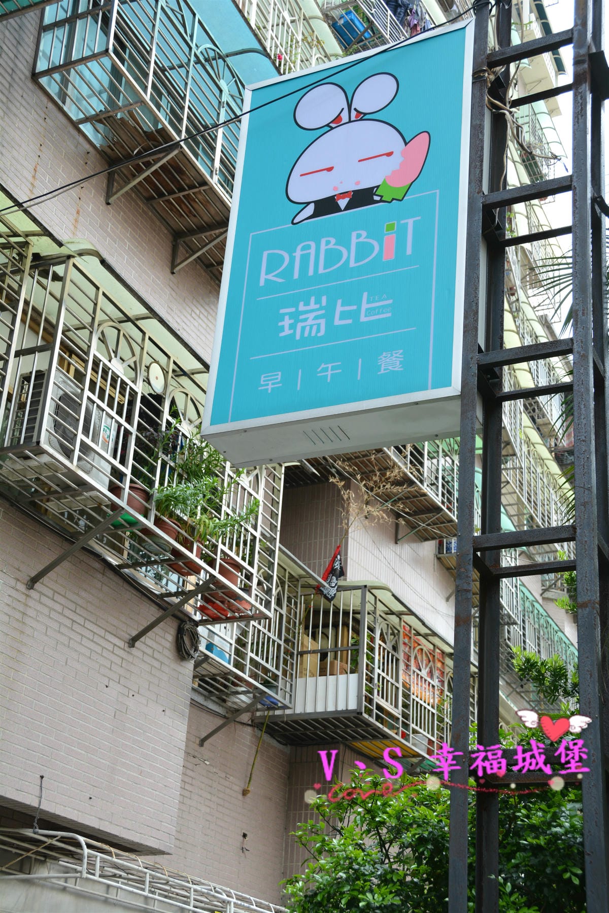 PIG_7345_meitu_7.jpg PIG_7345_meitu_7.jpg