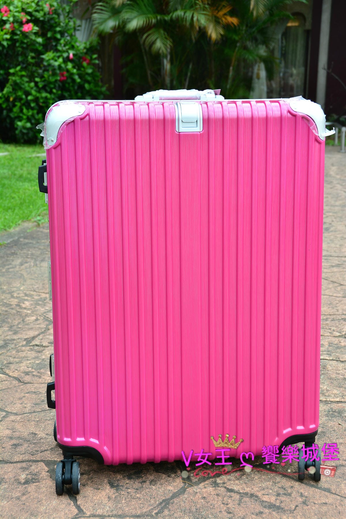 PIG_8425_meitu_23.jpg PIG_8425_meitu_23.jpg