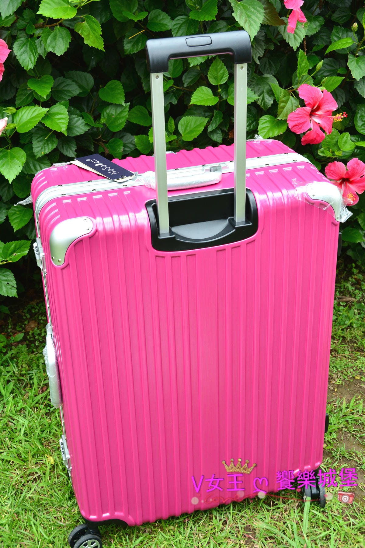 PIG_8433_meitu_30.jpg PIG_8433_meitu_30.jpg