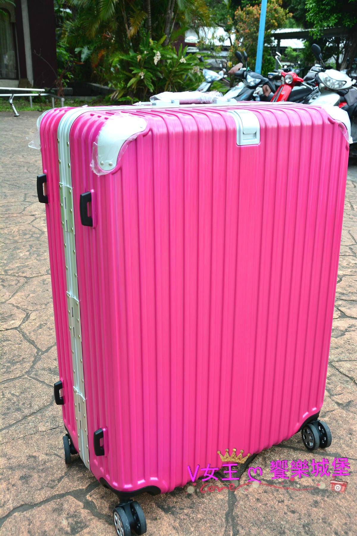 PIG_8426_meitu_24.jpg PIG_8426_meitu_24.jpg