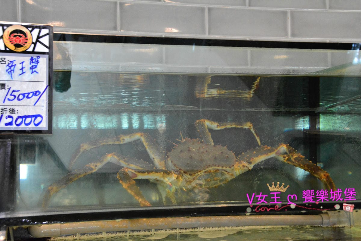 【台中美食】台中南屯蒸氣海鮮 鼎陶蒸 蒸汽海鮮鍋物 永春店 【台中美食】台中南屯蒸氣海鮮 鼎陶蒸 蒸汽海鮮鍋物 永春店