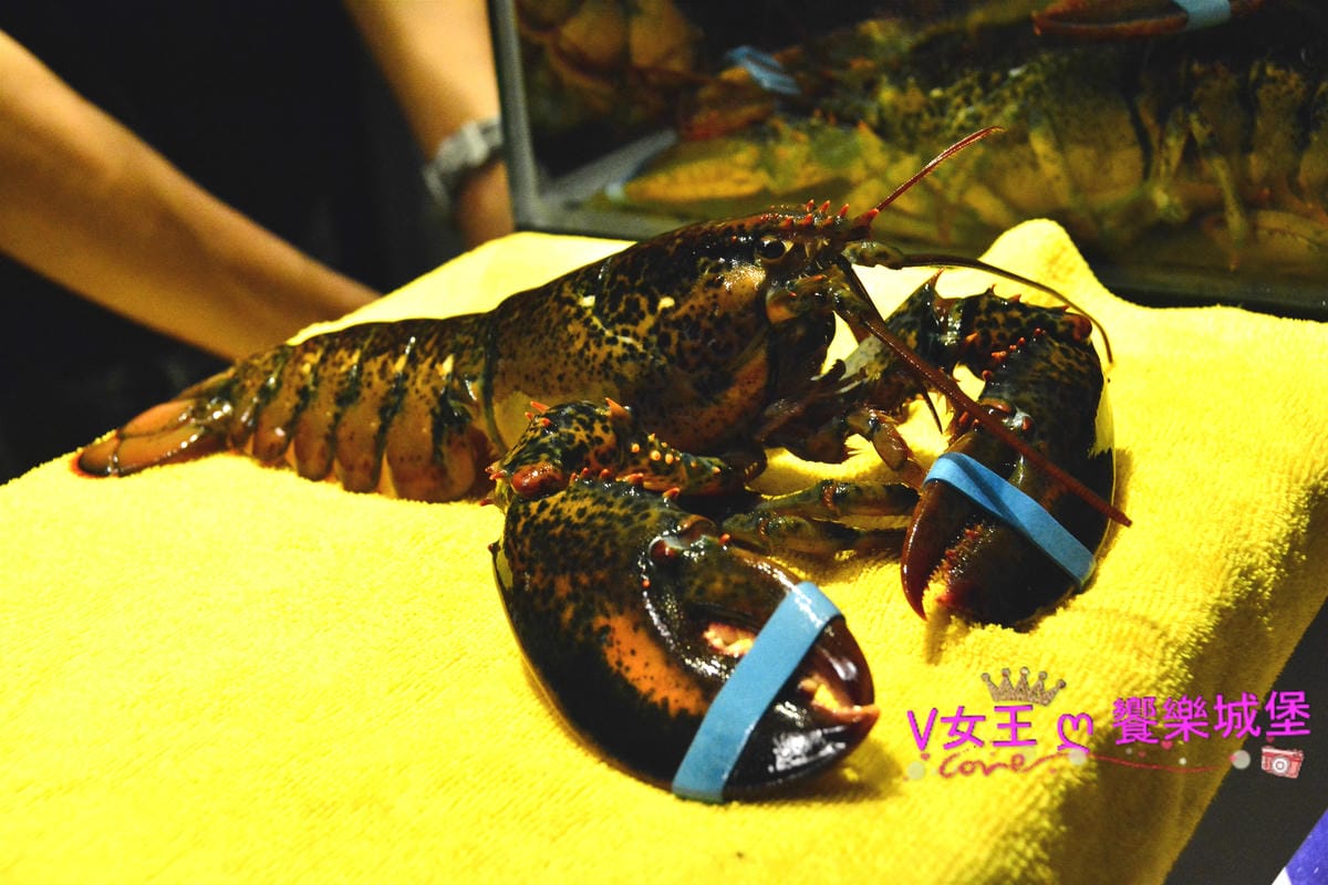 【板橋美食】二訪 極幻燒肉丼飯,為的就是 限量 現點 【板橋美食】二訪 極幻燒肉丼飯,為的就是 限量 現點