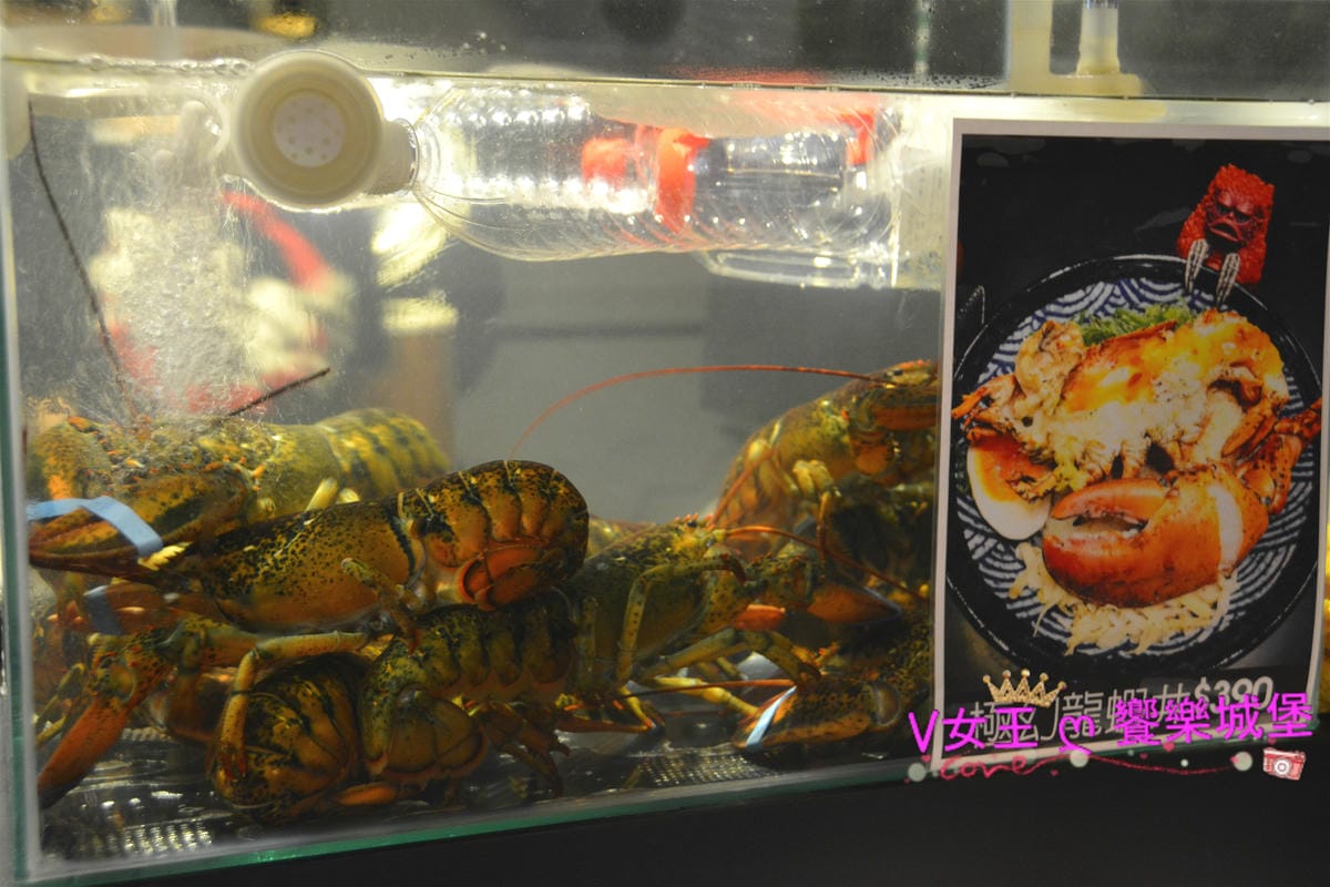 【板橋美食】二訪 極幻燒肉丼飯,為的就是 限量 現點 【板橋美食】二訪 極幻燒肉丼飯,為的就是 限量 現點