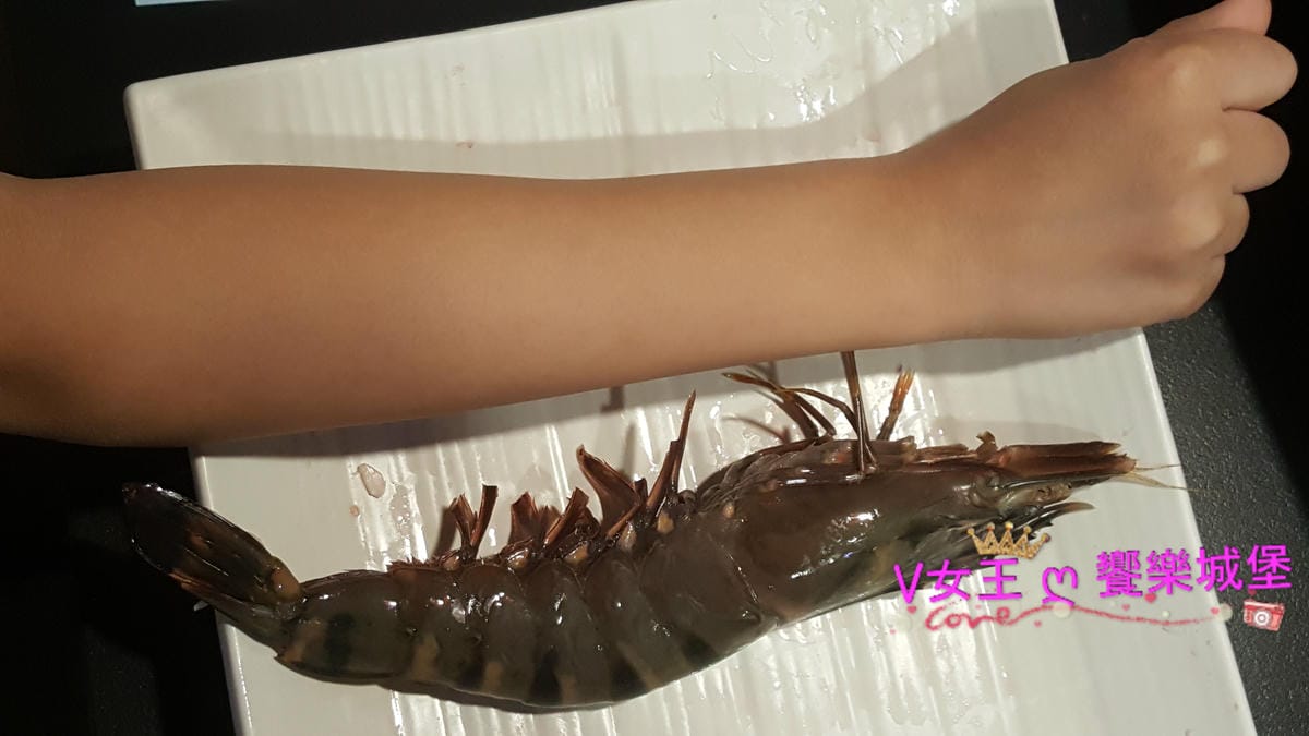 【新北美食】板橋 江子翠火鍋 Full House異國風味 【新北美食】板橋 江子翠火鍋 Full House異國風味