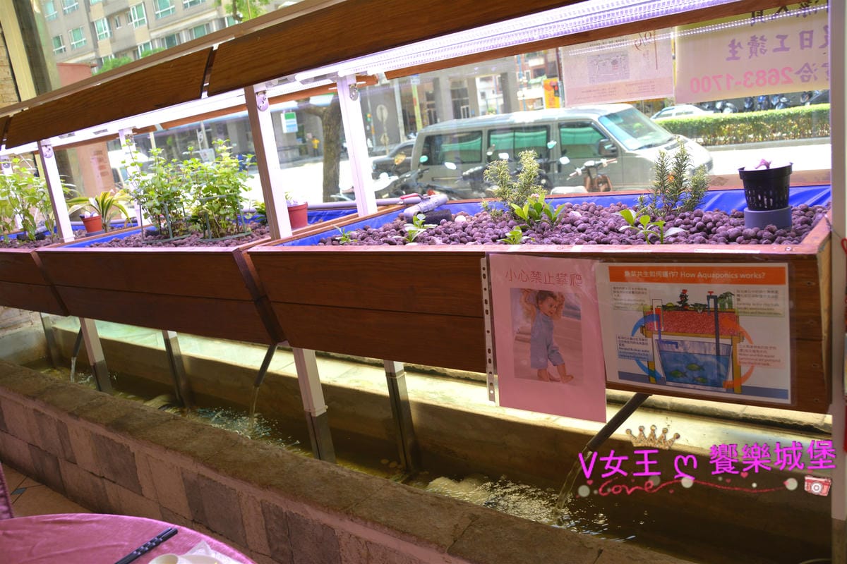 PIG_0566_meitu_5.jpg PIG_0566_meitu_5.jpg