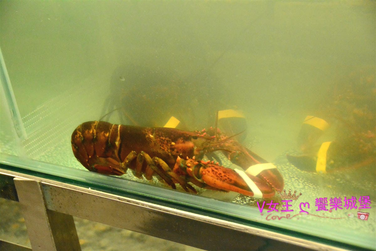 【食。板橋/火鍋】 捷運新埔站 鮮入圍煮-精緻鍋物 新鮮