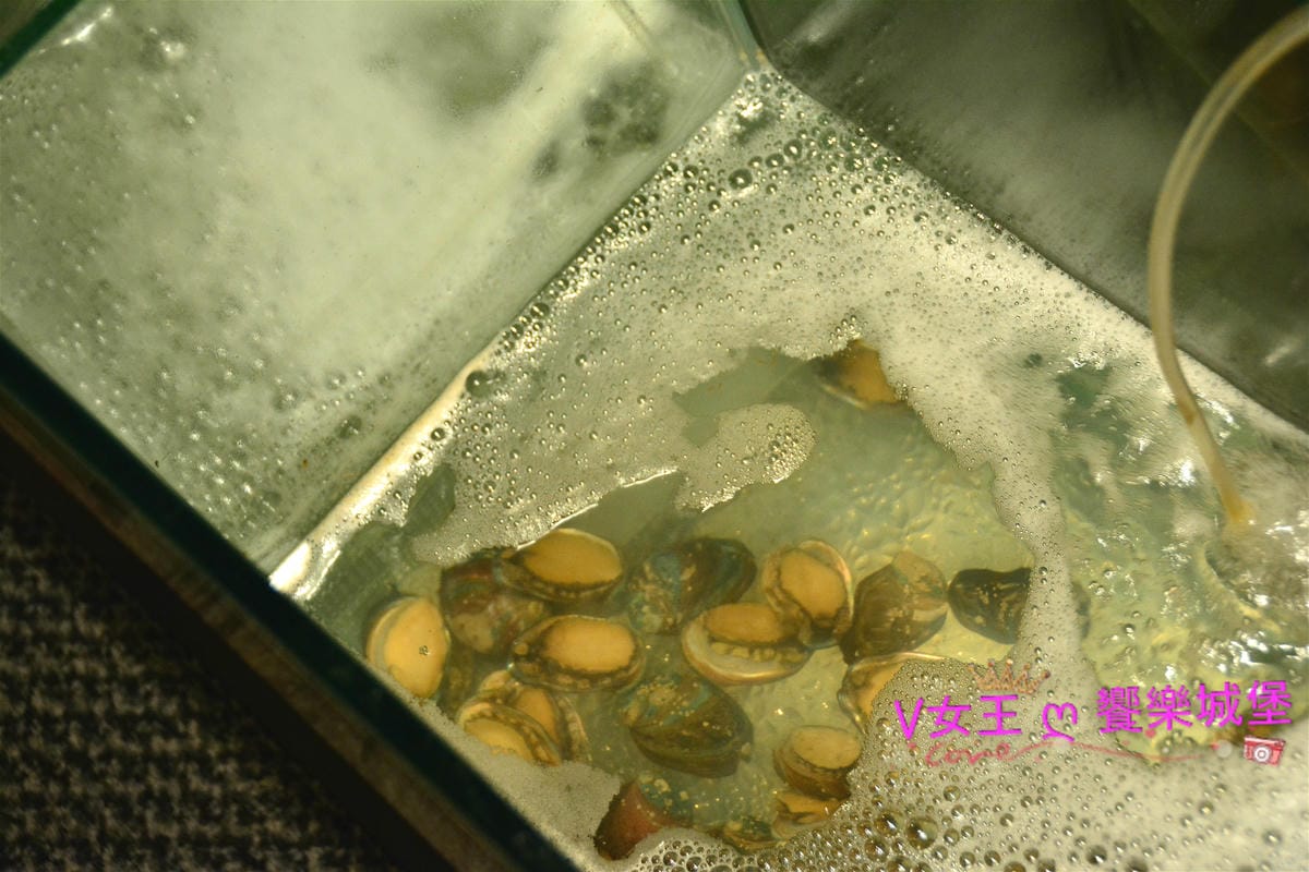 【食。板橋/火鍋】 捷運新埔站 鮮入圍煮-精緻鍋物 新鮮 【食。板橋/火鍋】 捷運新埔站 鮮入圍煮-精緻鍋物 新鮮