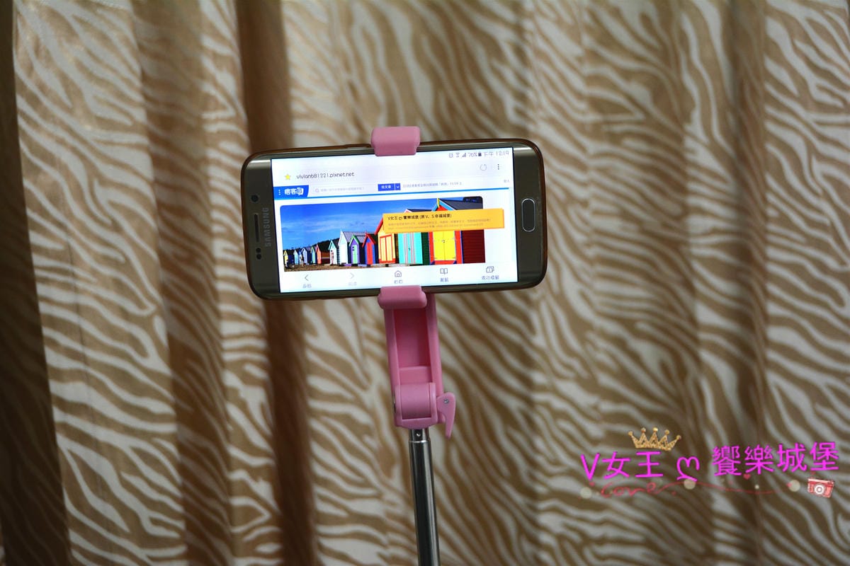 PIG_7066_meitu_12 PIG_7066_meitu_12