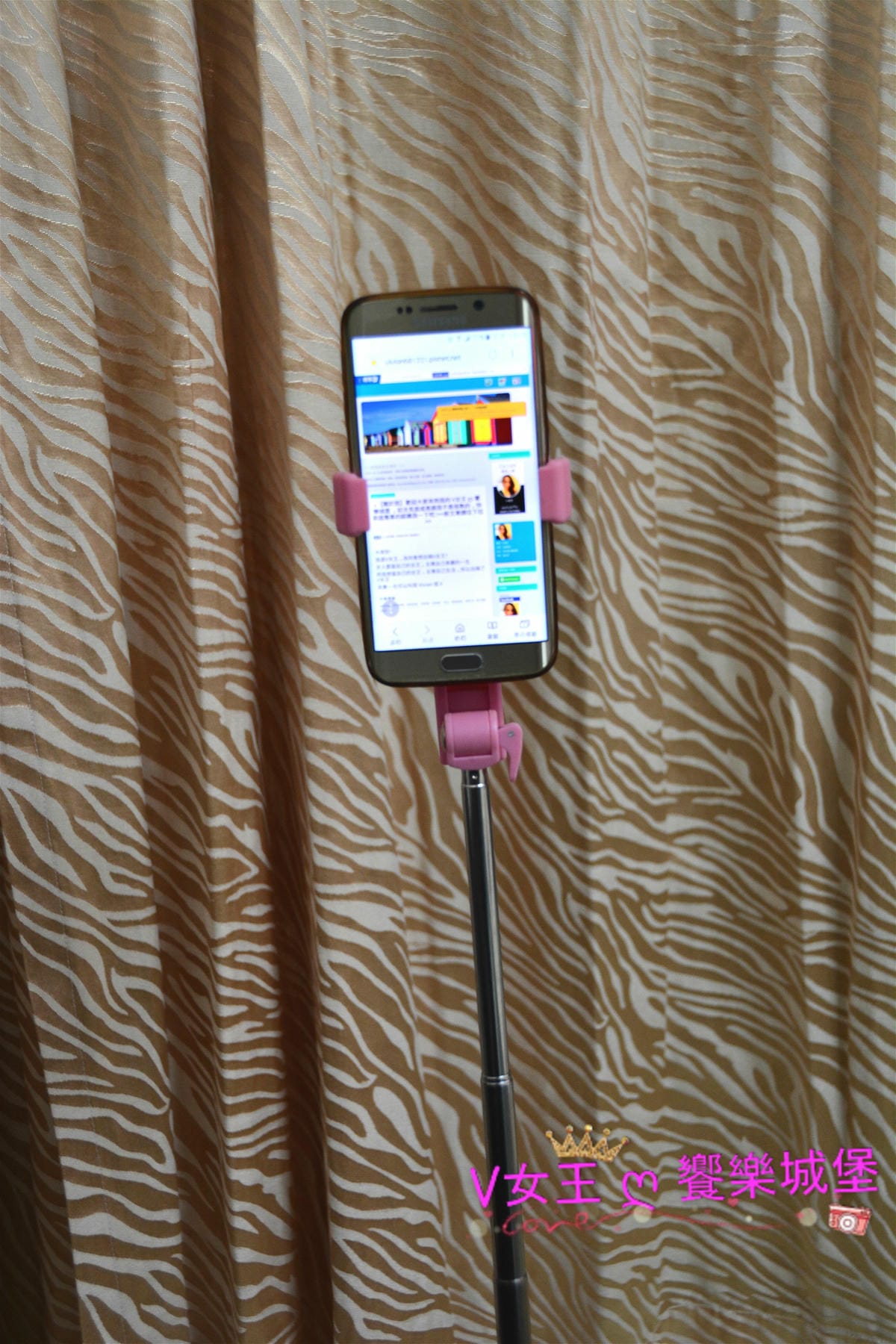 PIG_7065_meitu_11 PIG_7065_meitu_11