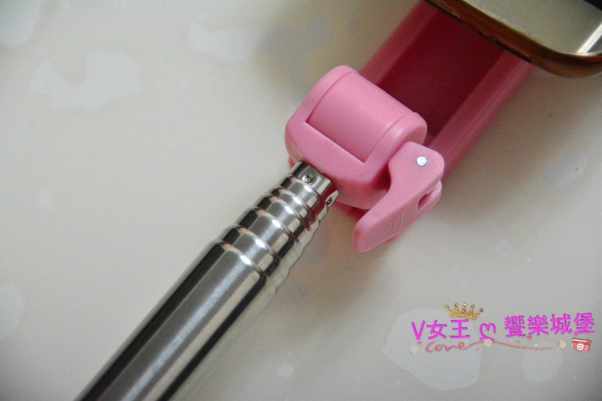 PIG_7062_meitu_9 PIG_7062_meitu_9