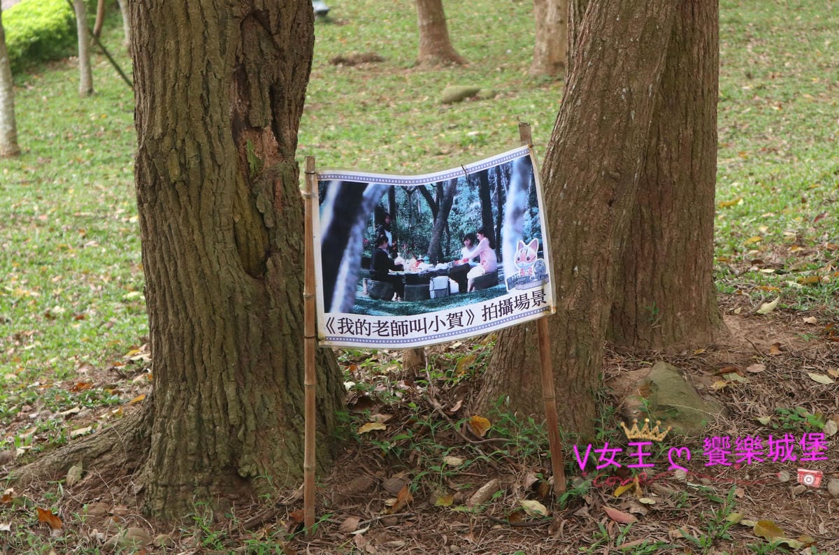 IMG_7041_meitu_23.jpg IMG_7041_meitu_23.jpg