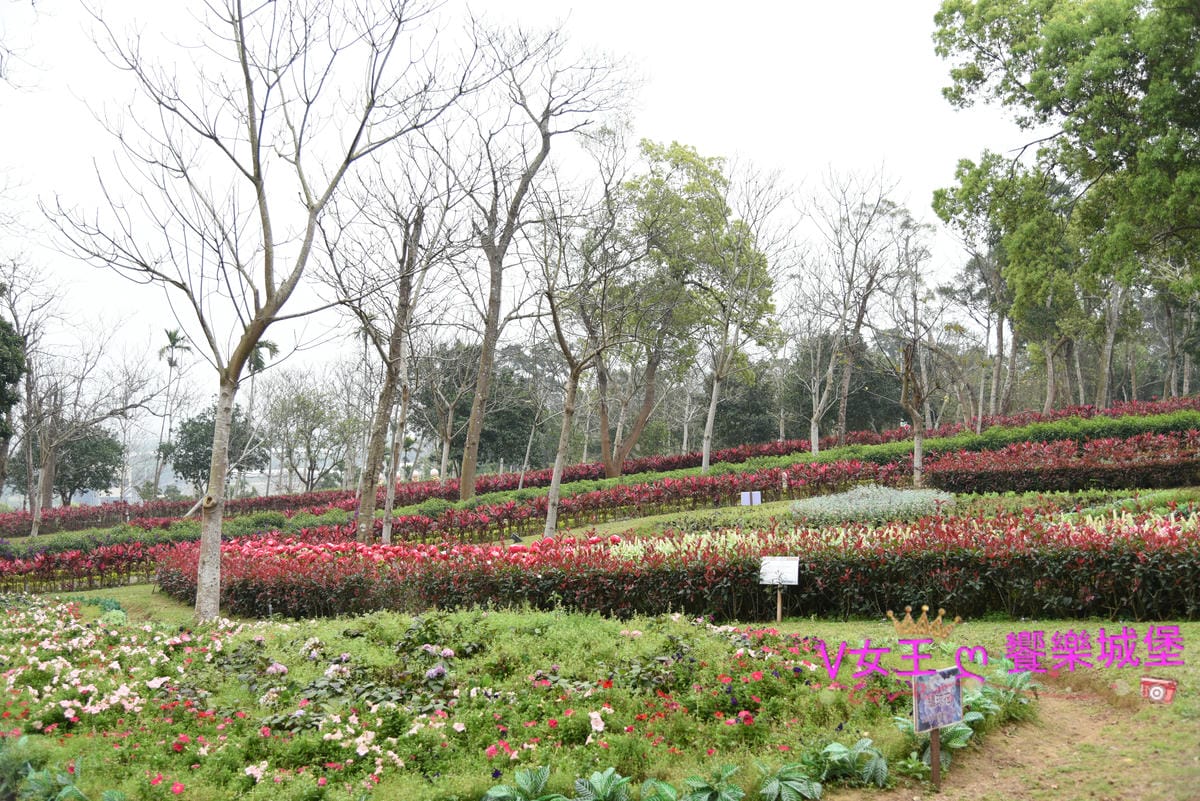 DSC_0040.JPG DSC_0040.JPG