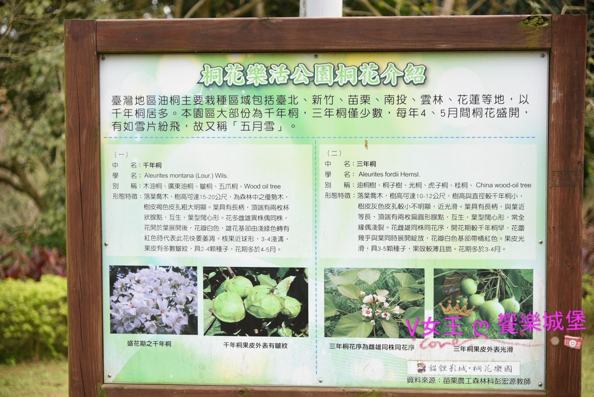 DSC_0030.JPG DSC_0030.JPG