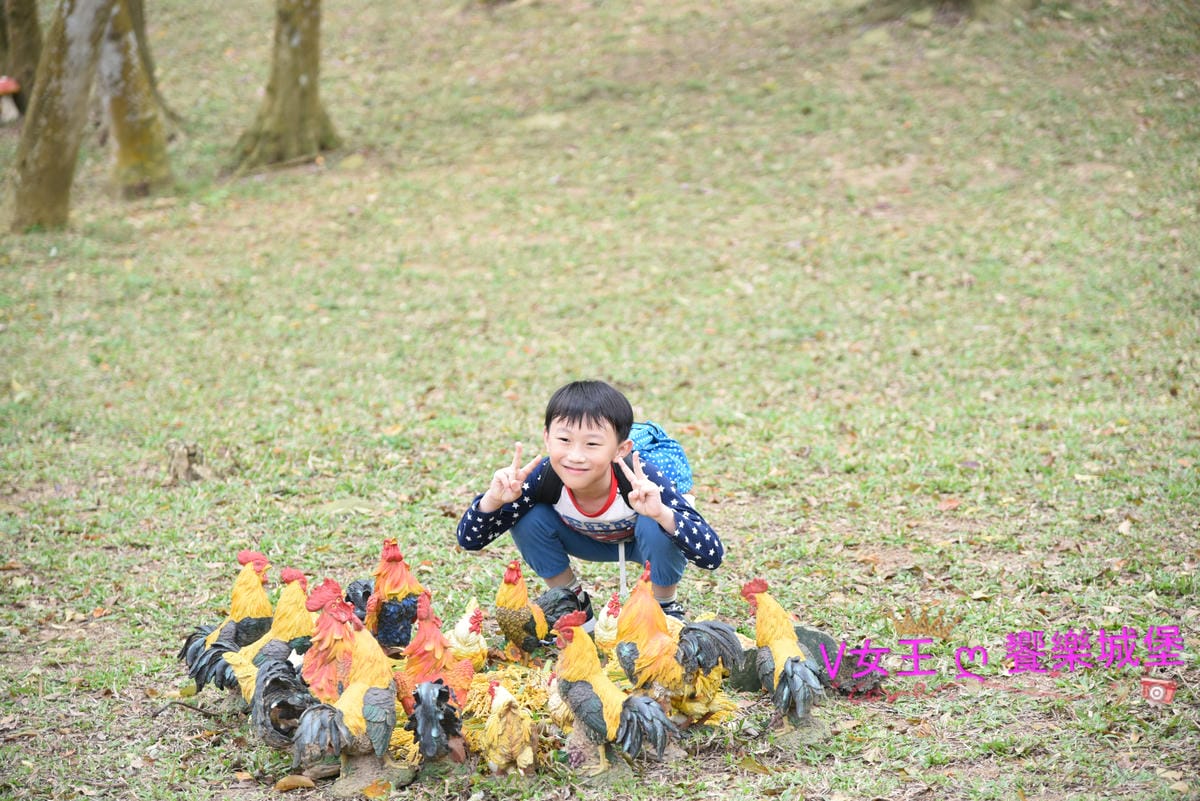 DSC_0035.JPG DSC_0035.JPG