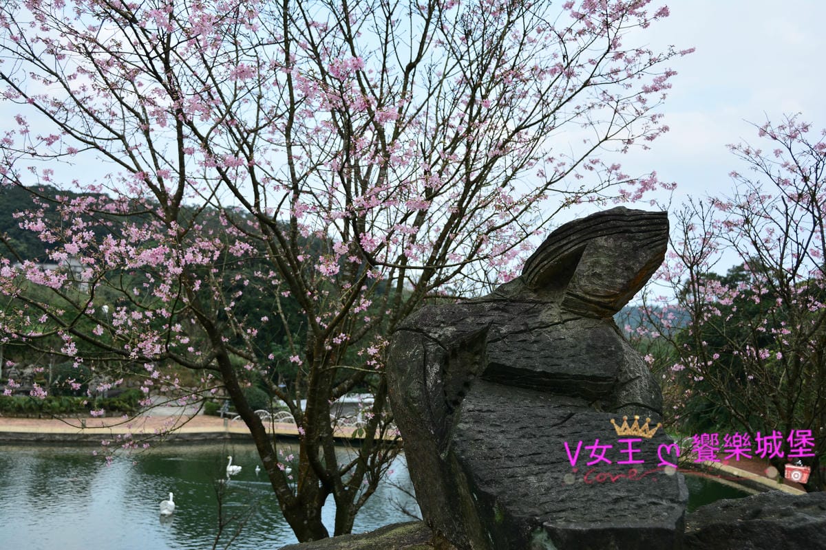 PIG_7981.JPG PIG_7981.JPG