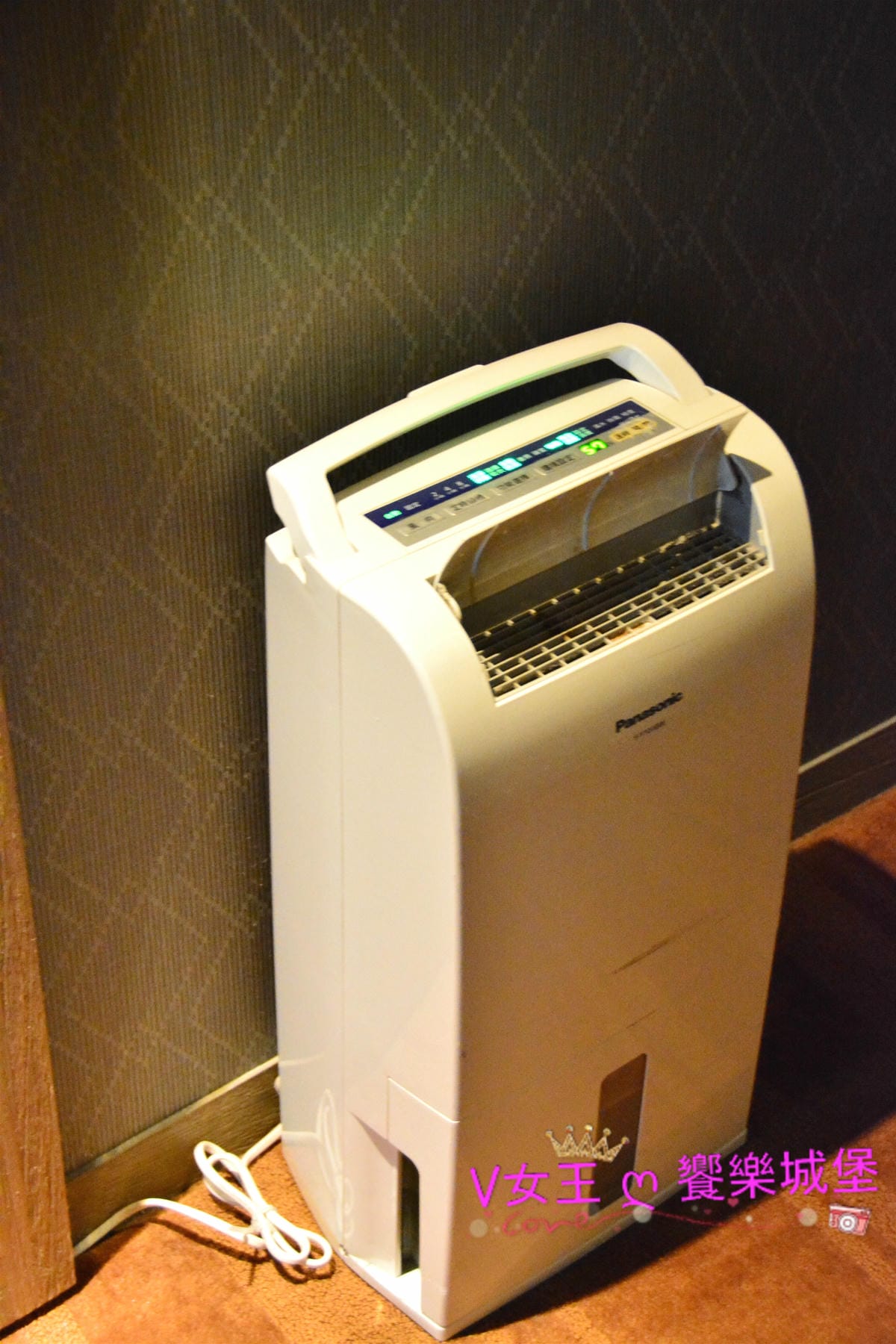 PIG_7803_meitu_49.jpg PIG_7803_meitu_49.jpg