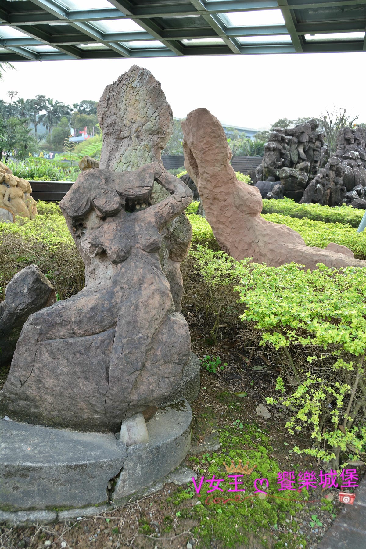 PIG_7991.JPG PIG_7991.JPG