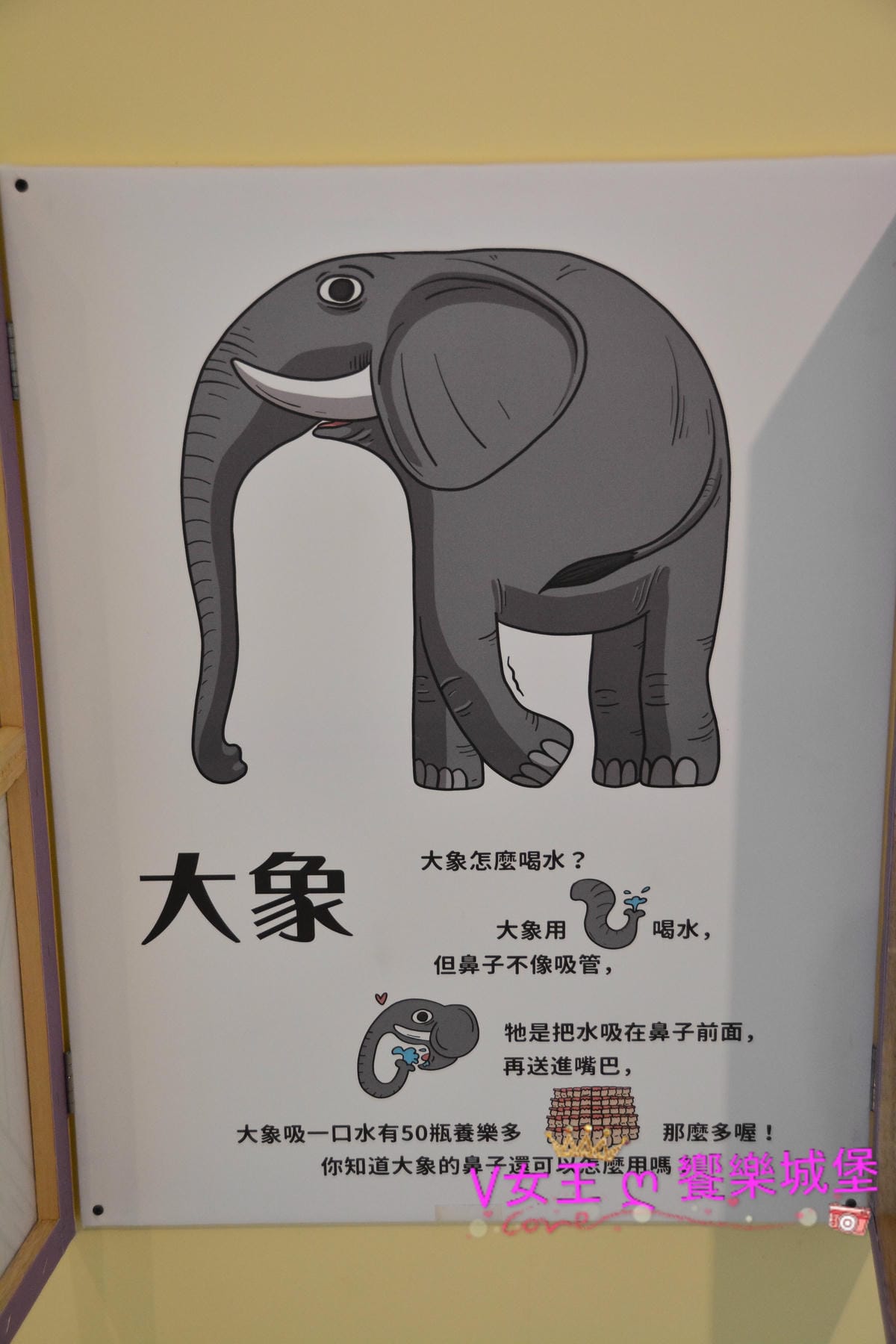 PIG_7893.JPG PIG_7893.JPG