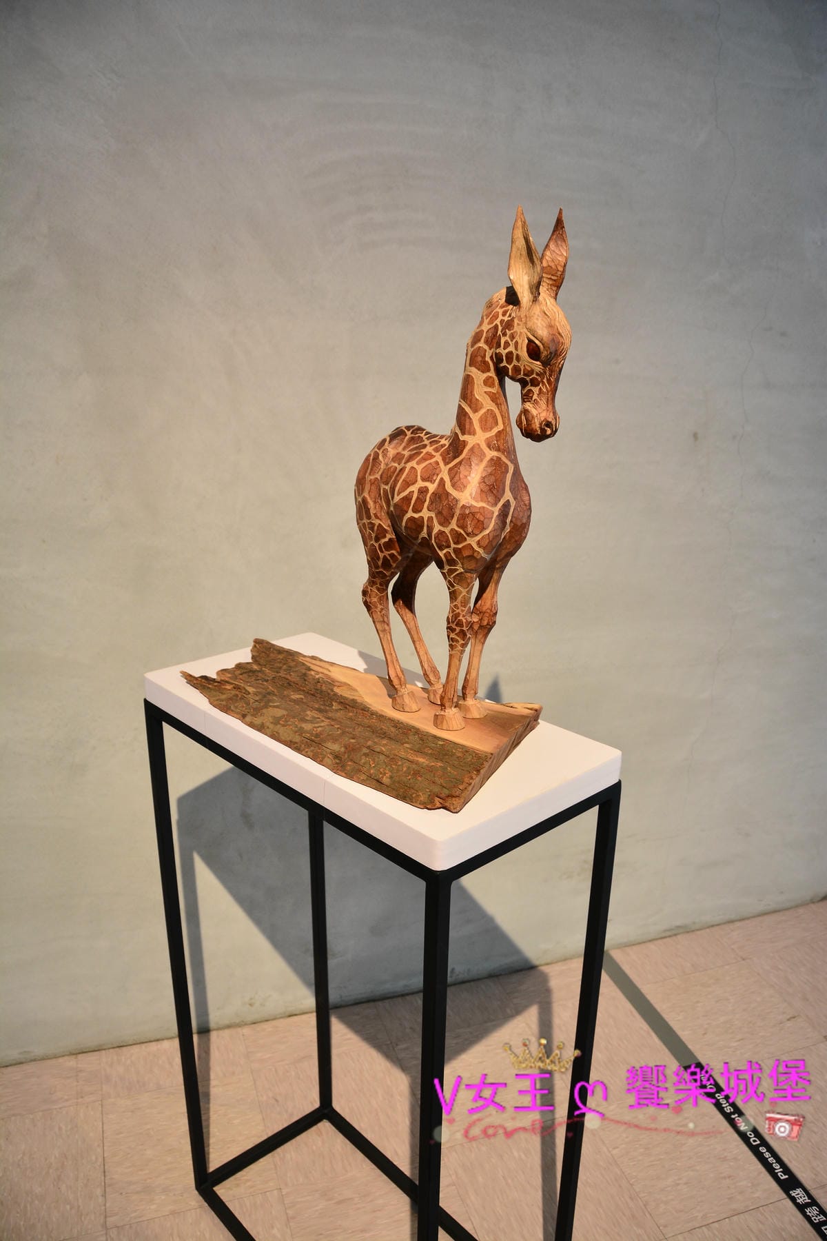 PIG_7878.JPG PIG_7878.JPG