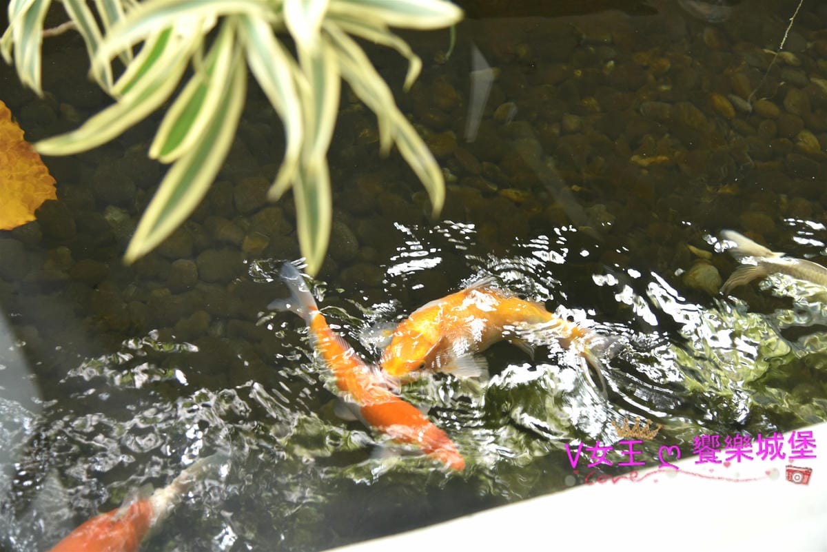 【食。永康街餐酒館】捷運東門站 AMOS bistro 