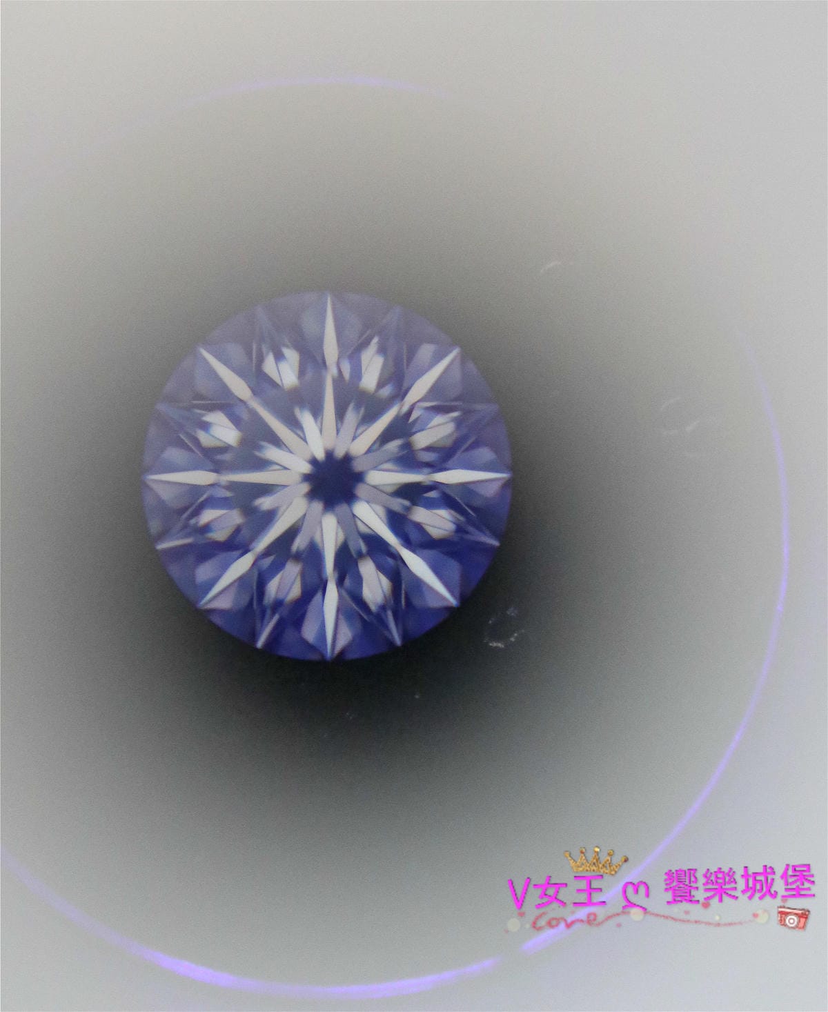 IMG_4491_meitu_9 IMG_4491_meitu_9