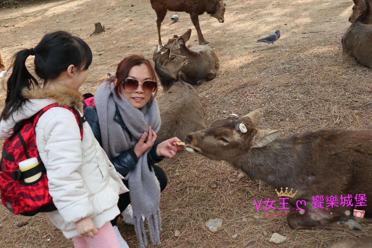 IMG_6217.JPG IMG_6217.JPG