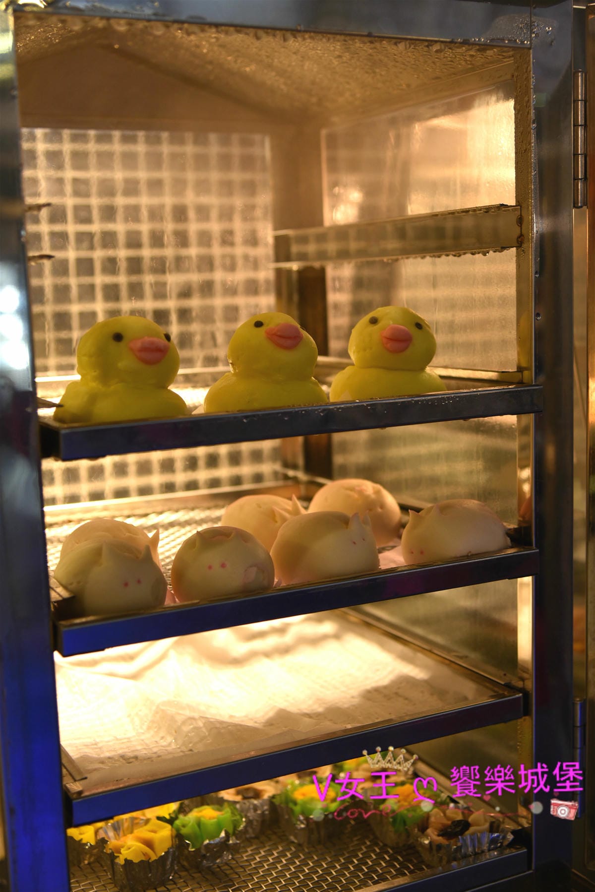 DSC_5083_meitu_7.jpg DSC_5083_meitu_7.jpg