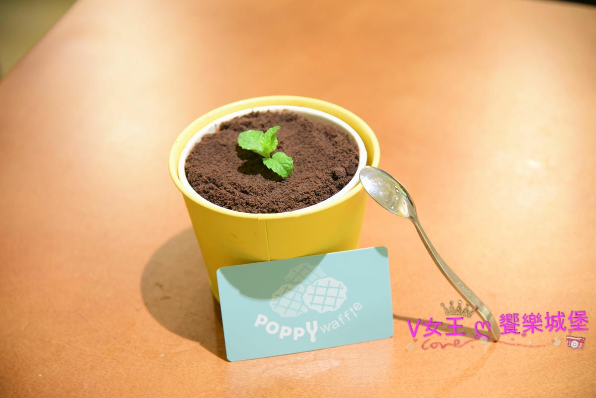 DSC_5959_副本.jpg DSC_5959_副本.jpg