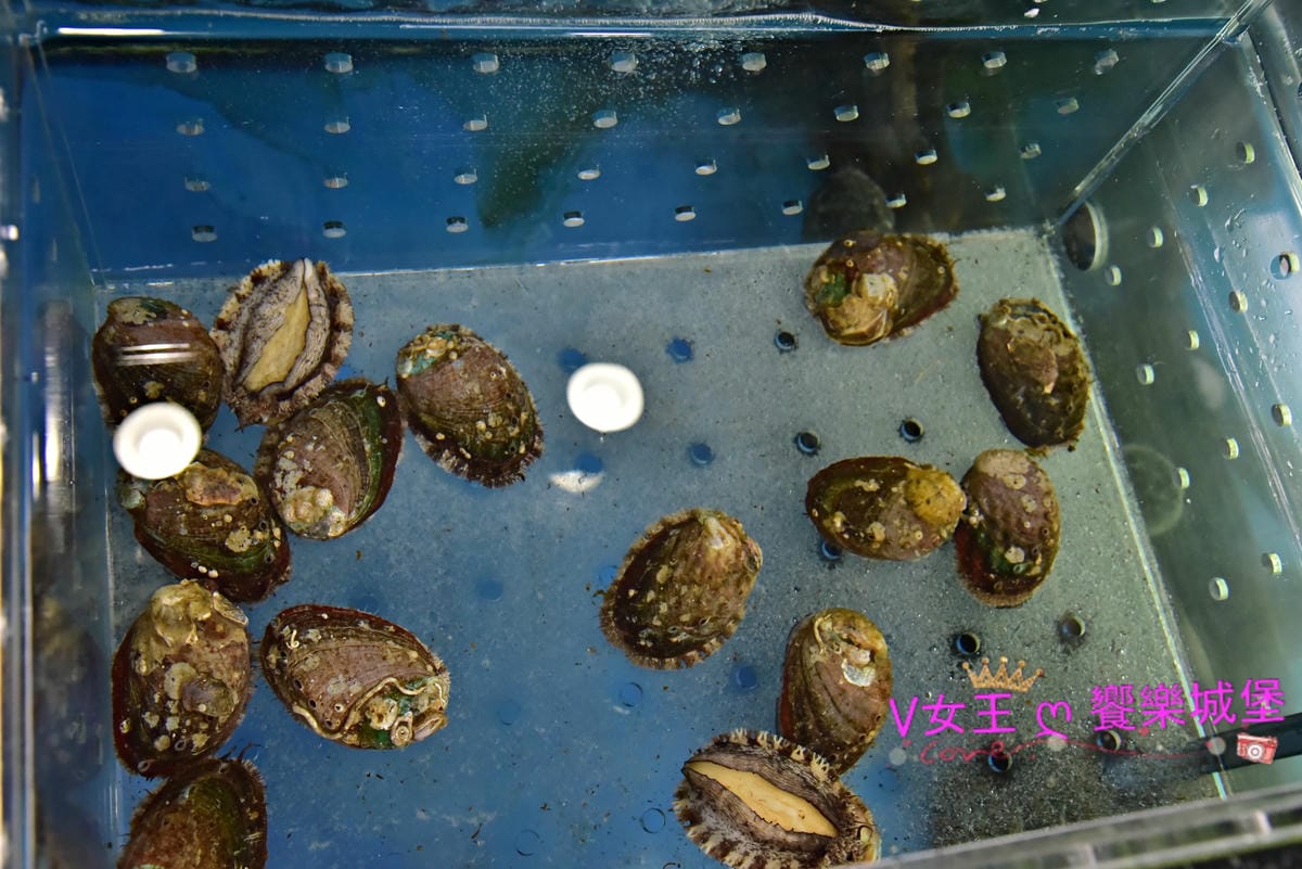 DSC_7827-1.JPG DSC_7827-1.JPG