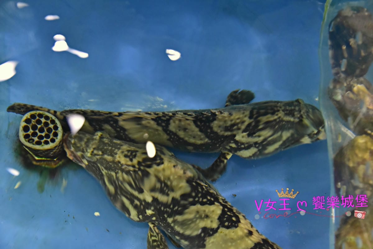 DSC_7825-1.JPG DSC_7825-1.JPG