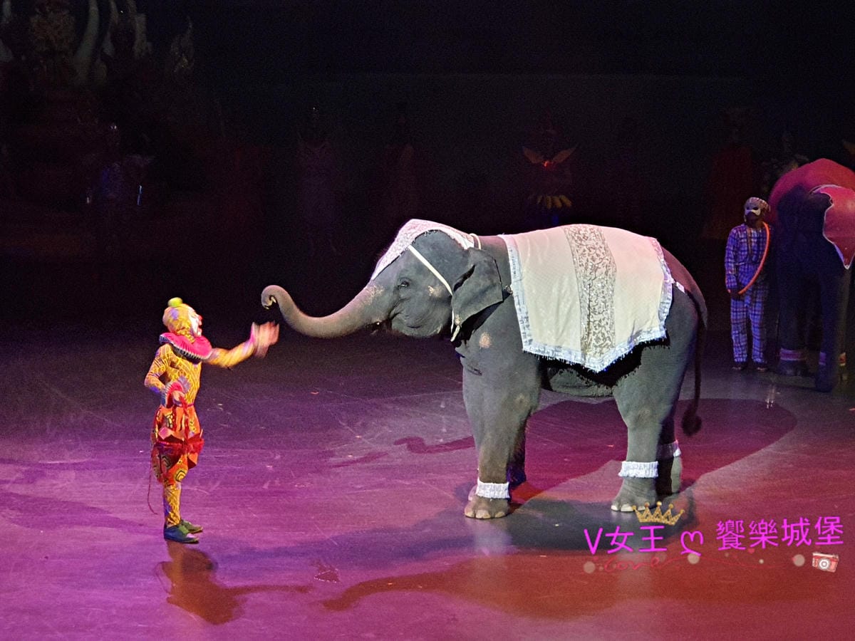 20190809_201926-1.jpg 20190809_201926-1.jpg