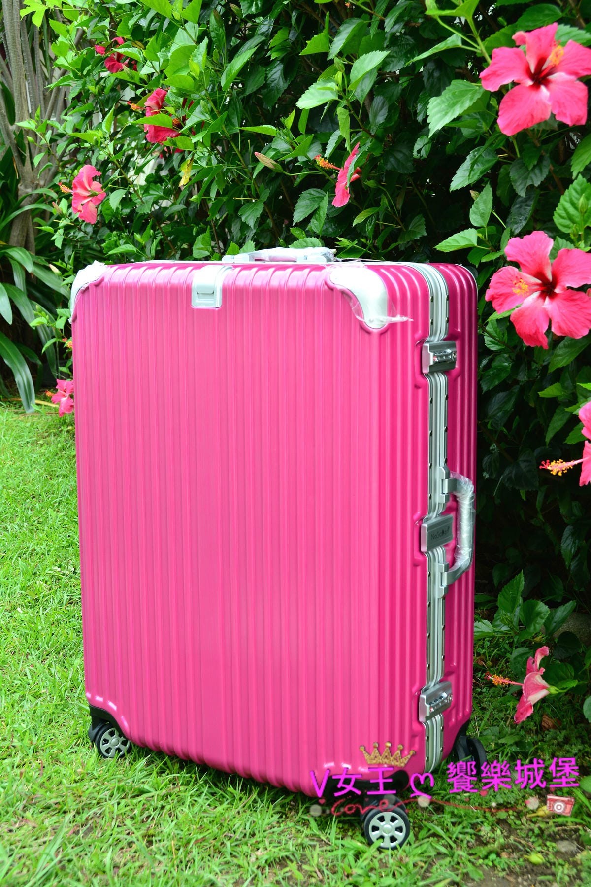 PIG_8427_meitu_25.jpg PIG_8427_meitu_25.jpg