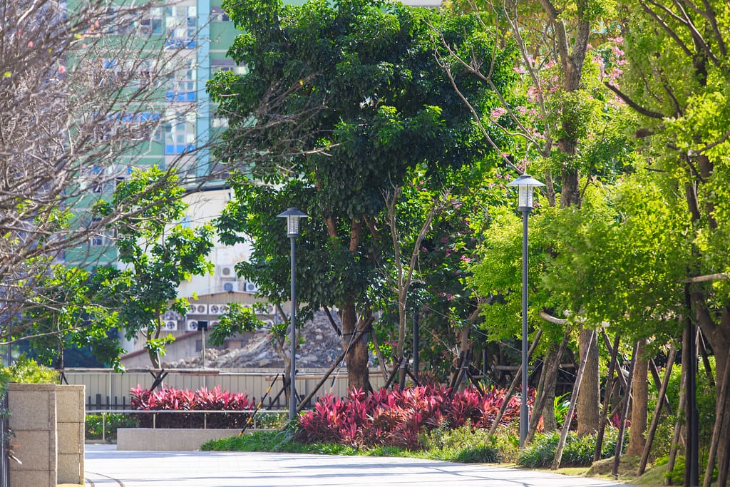 【中和賞屋】映象太和 中和 5600坪森活美學 讓你身處城市小綠洲,1高 2快 3捷運 輕鬆豐富生活,29%起低公設多元休閒設施空間,打造綠化便捷幸福住宅 - 第27張圖 BZ1V5132