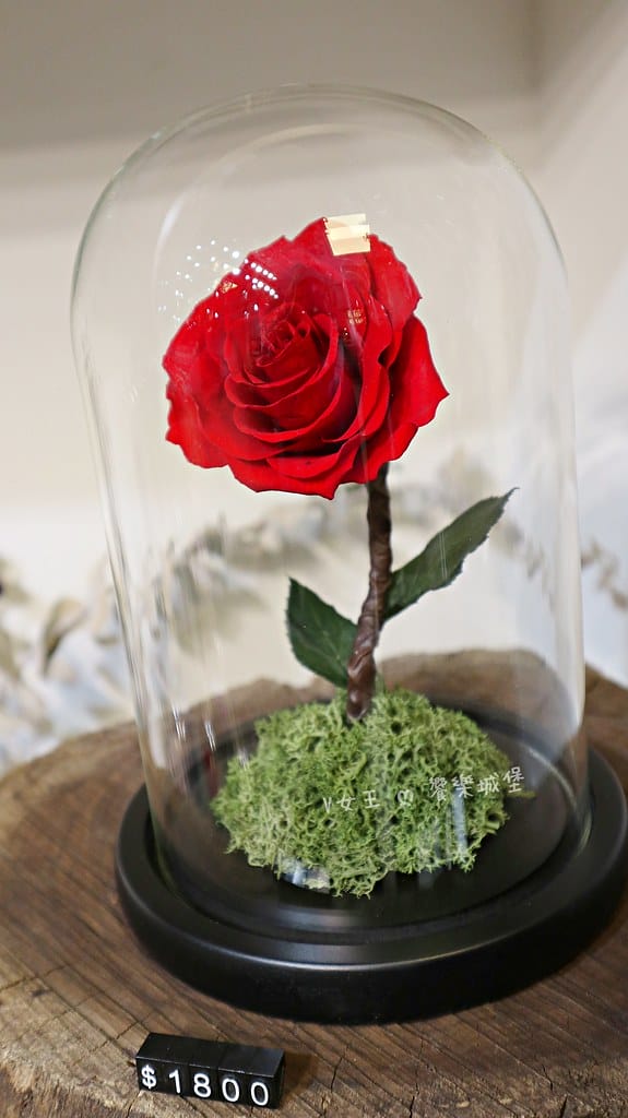 喜歡生活乾燥花店 ll 台北中山區 永生花、乾燥花店分享,來個不一樣的開幕盆栽、節日永生花束,進到店裡會讓人驚奇尖叫、少女心噴發的乾燥花、永生花店 - 第34張圖 batch_IMG_1199 -1