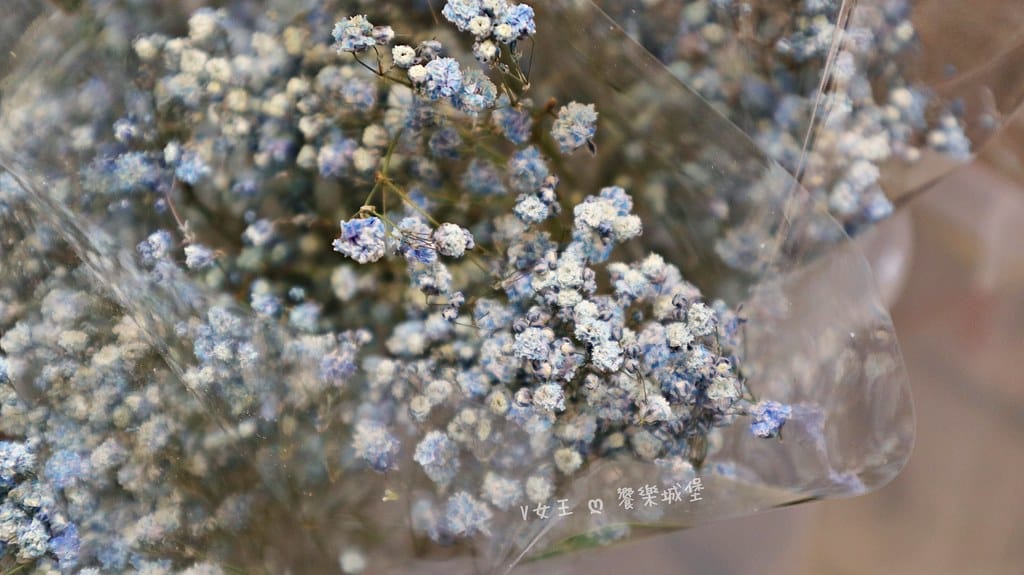 喜歡生活乾燥花店 ll 台北中山區 永生花、乾燥花店分享,來個不一樣的開幕盆栽、節日永生花束,進到店裡會讓人驚奇尖叫、少女心噴發的乾燥花、永生花店 - 第10張圖 batch_IMG_1189 -1