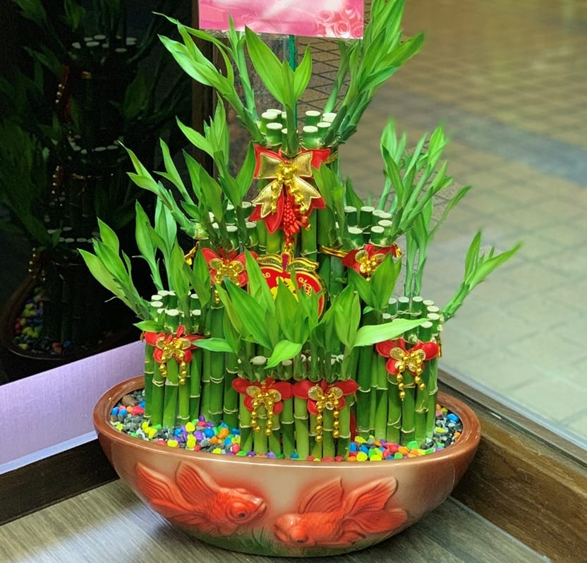 喜歡生活乾燥花店 ll 台北中山區 永生花、乾燥花店分享,來個不一樣的開幕盆栽、節日永生花束,進到店裡會讓人驚奇尖叫、少女心噴發的乾燥花、永生花店 - 第35張圖 S__3694748