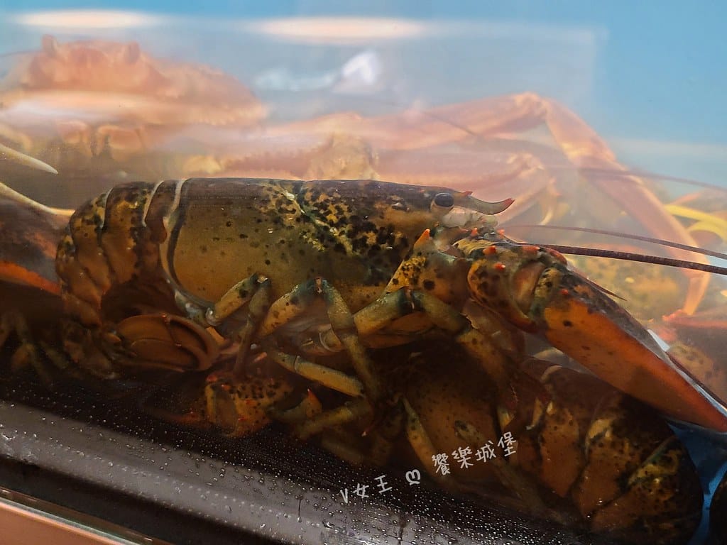 batch_20200826_182604 -1