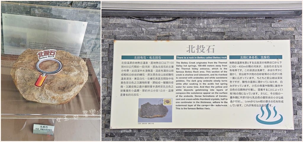 Collage 2020-11-13 21_22_23