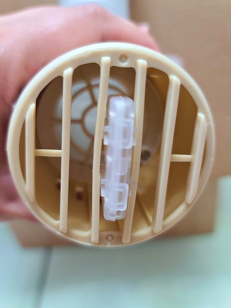 313411383_6179967418684548_3501357413750136566_n -1