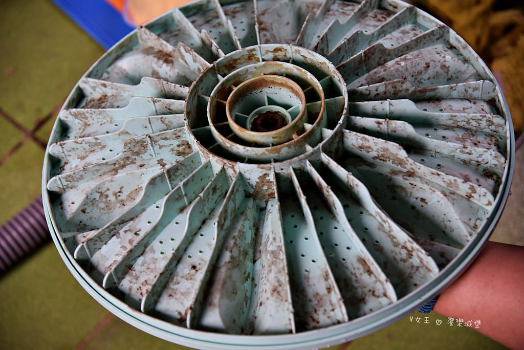 洗衣機清洗推薦 ll 洗衣機也是要定期清洗得你知道嗎? 專業 batch_DSC_1442-1