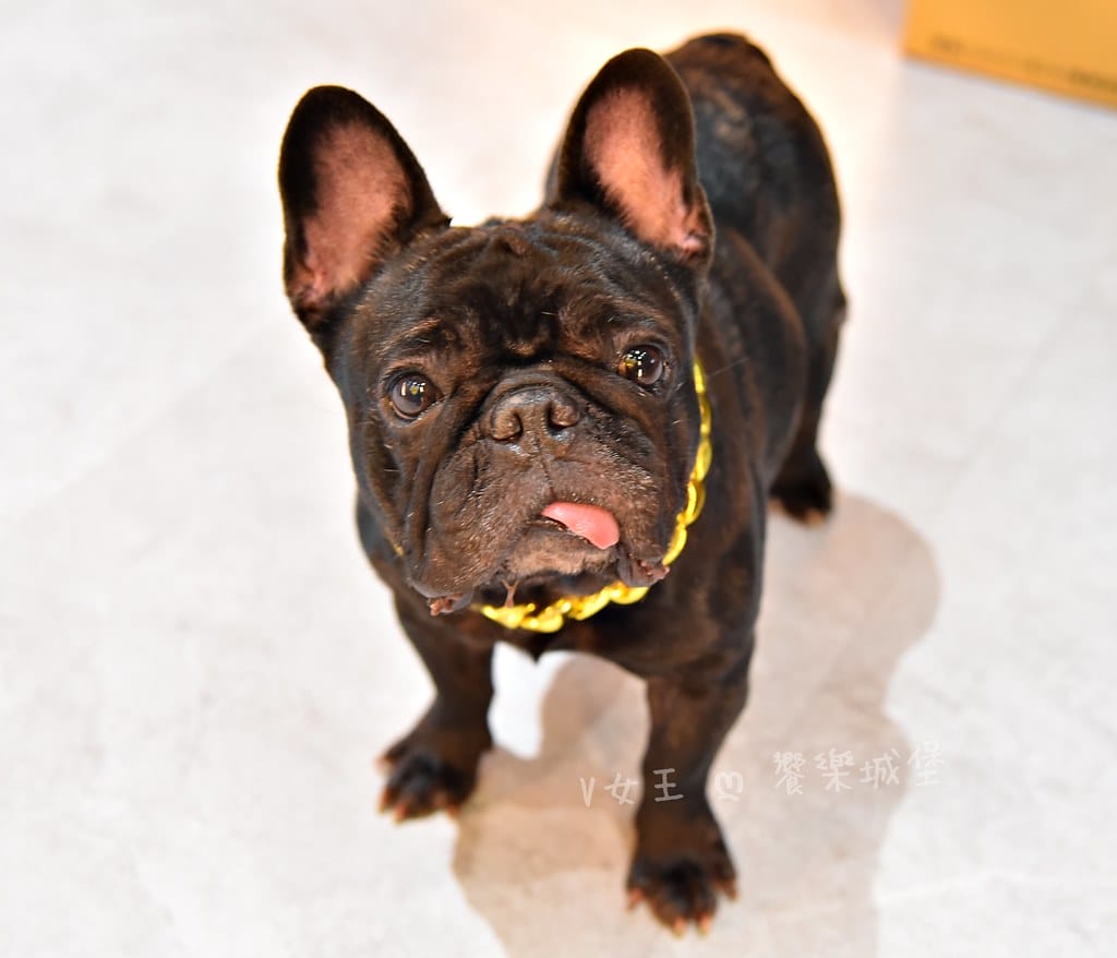 Nowhere Taipei 墨西哥餐酒館台北車站墨西哥料 Nowhere Taipei 墨西哥餐酒館台北車站墨西哥料